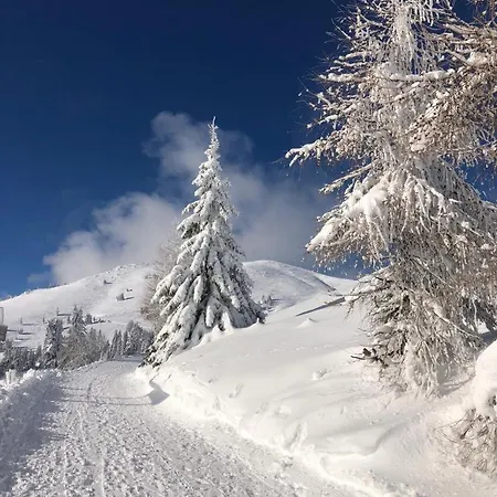 Gletscher & Fluss Apartment