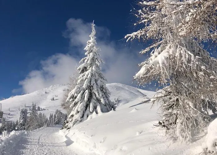 Gletscher & Fluss Lägenhet